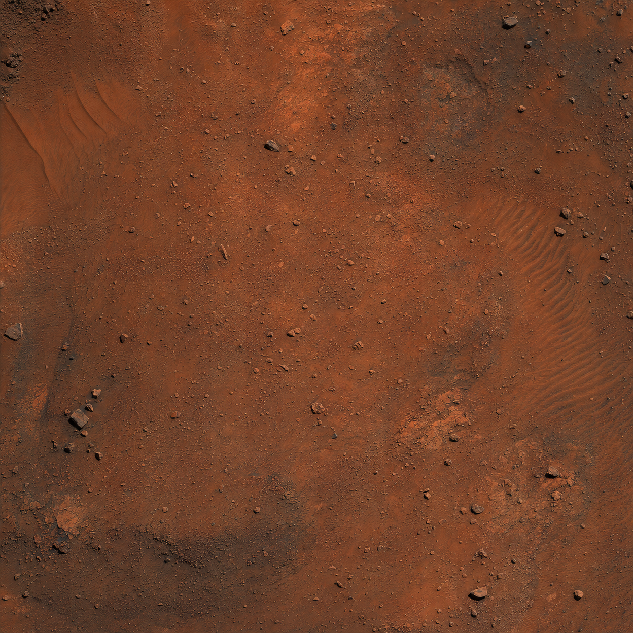 Martian Acre